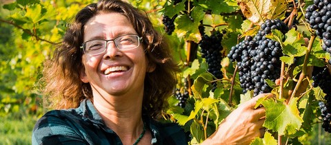 Vin Les Mergats